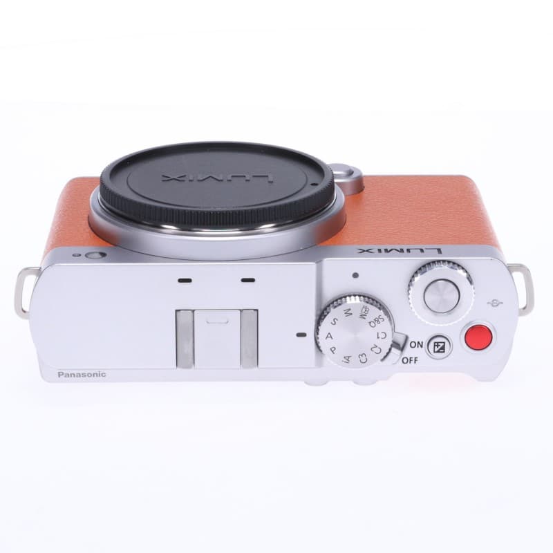 LUMIX S9 ボディのみ ライトシルバー(キャメルオレンジ)