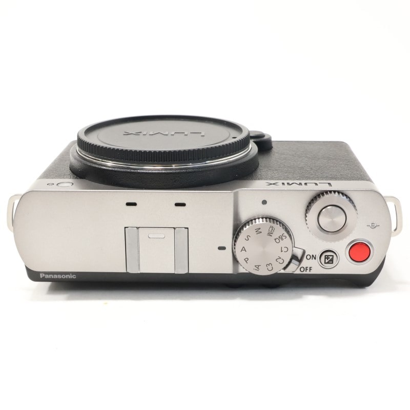 LUMIX S9 ボディ シルバー DC-S9-S