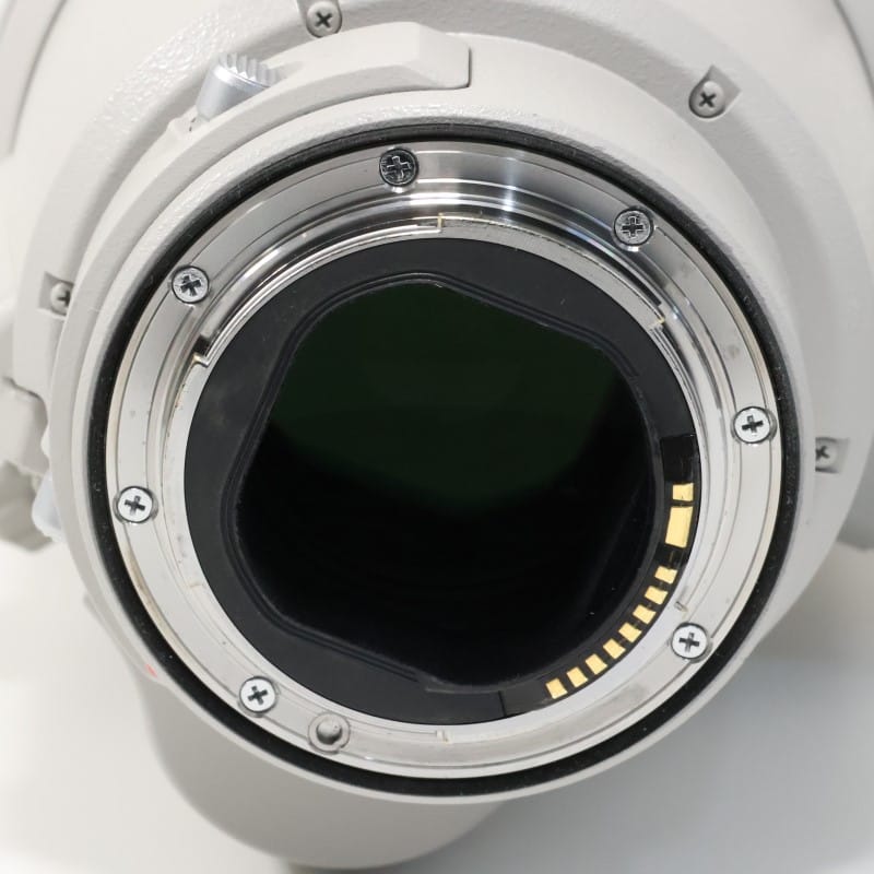 EF200-400mm F4L IS USM エクステンダー 1.4X