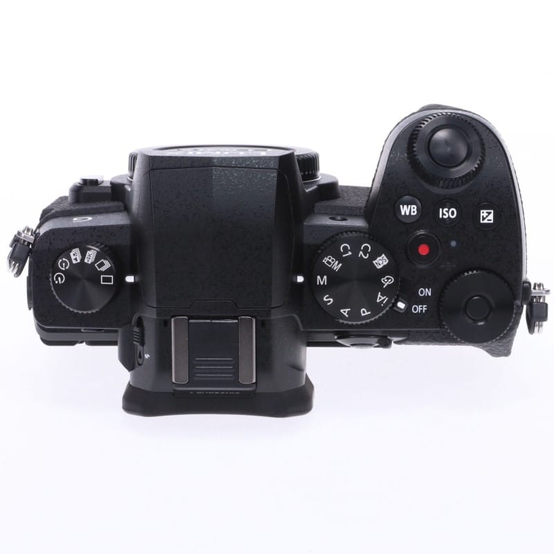 LUMIX G99 DC-G99