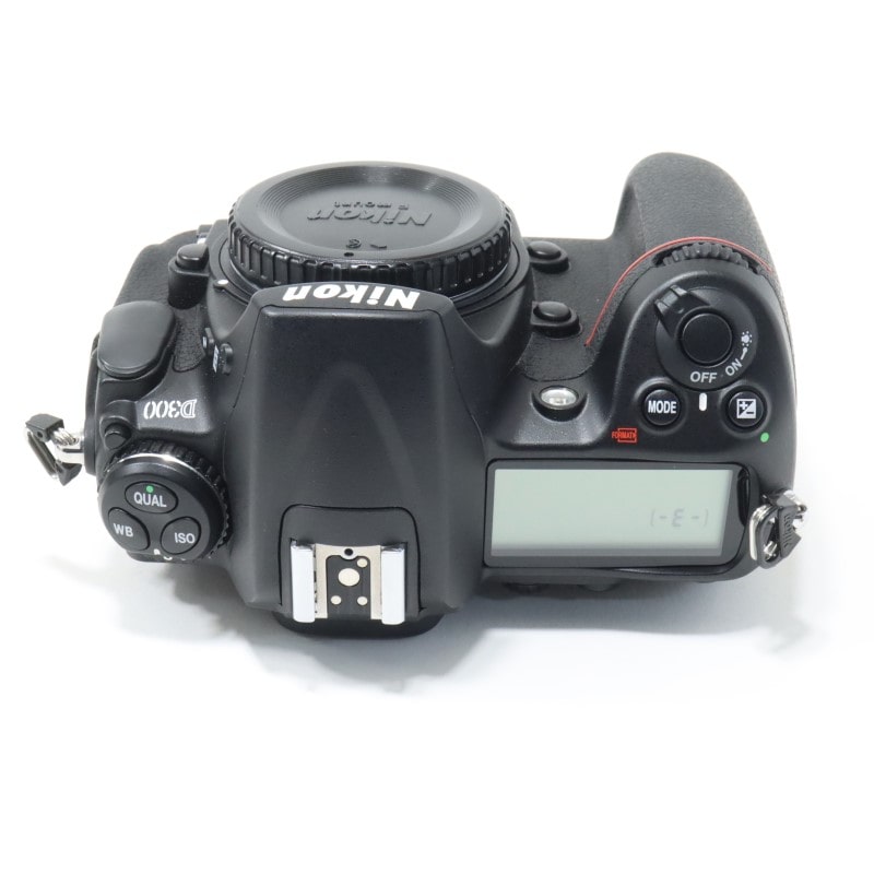 D300