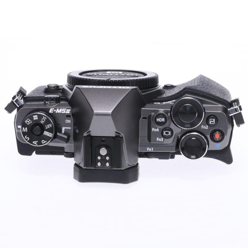 OM-D E-M5 Mark II Limited Edition ボディーのみ