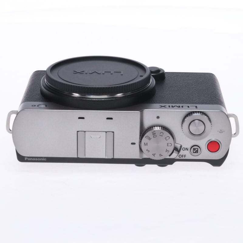 LUMIX S9 ボディ シルバー DC-S9-S