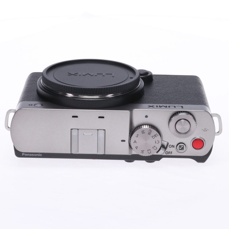 LUMIX S9 ボディ シルバー DC-S9-S