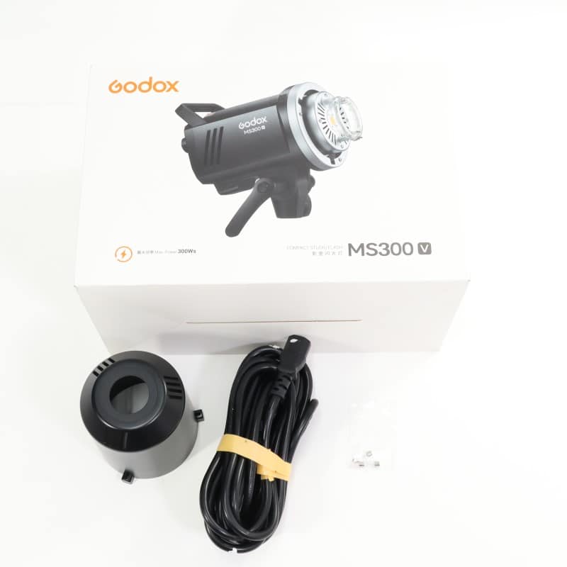 MS300 V