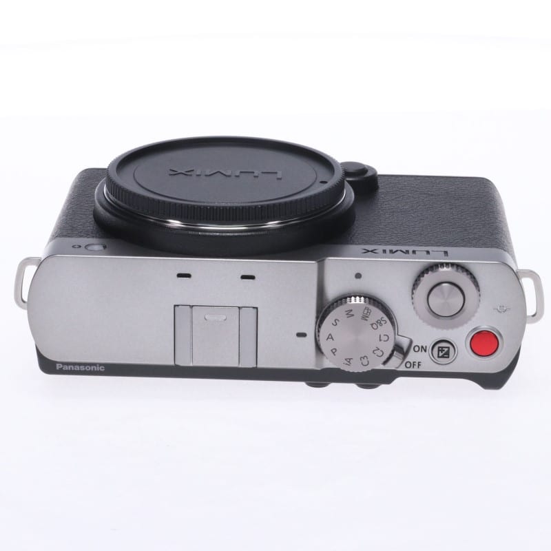 LUMIX S9 ボディ シルバー DC-S9-S