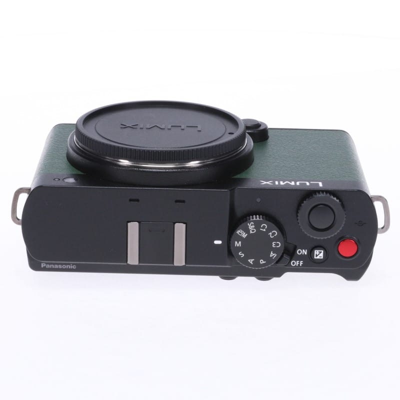 LUMIX S9 ボディ ジェットブラック DC-S9-K