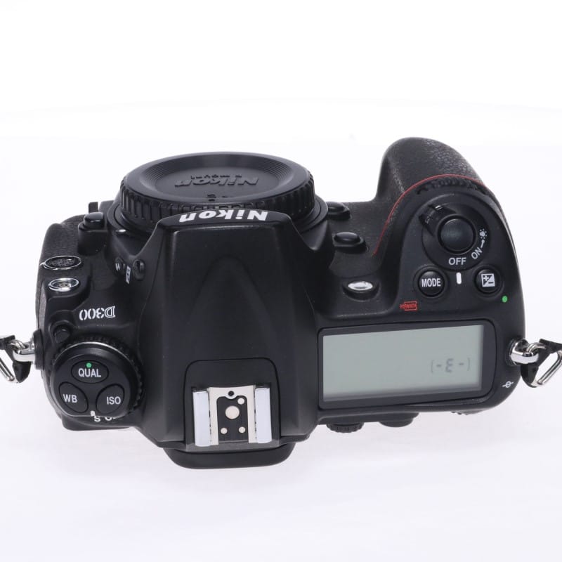 D300