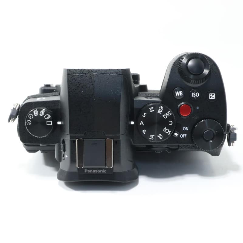 LUMIX G99II ボディ DC-G99M2