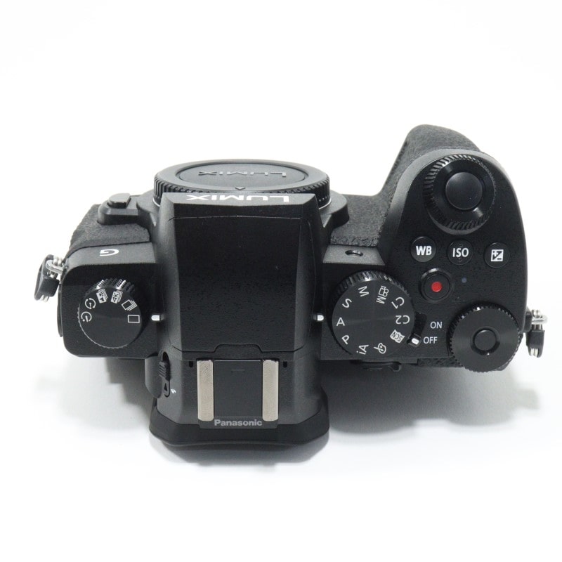 LUMIX DC-G99D