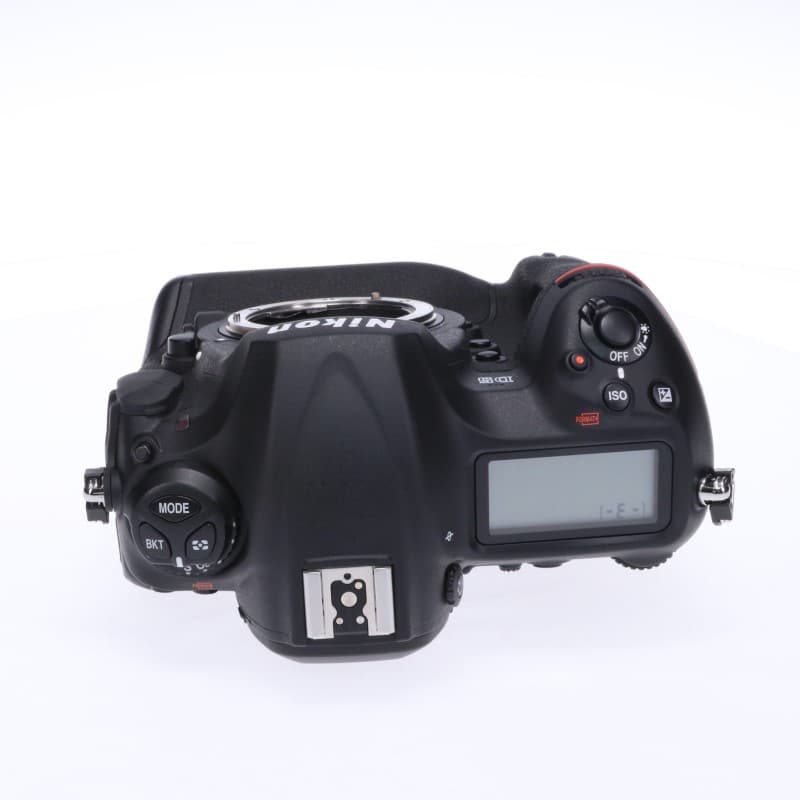 D5 CF-Type ボディ