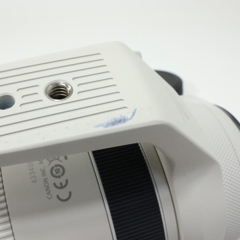 RF100-500mm F4.5-7.1 L IS USM