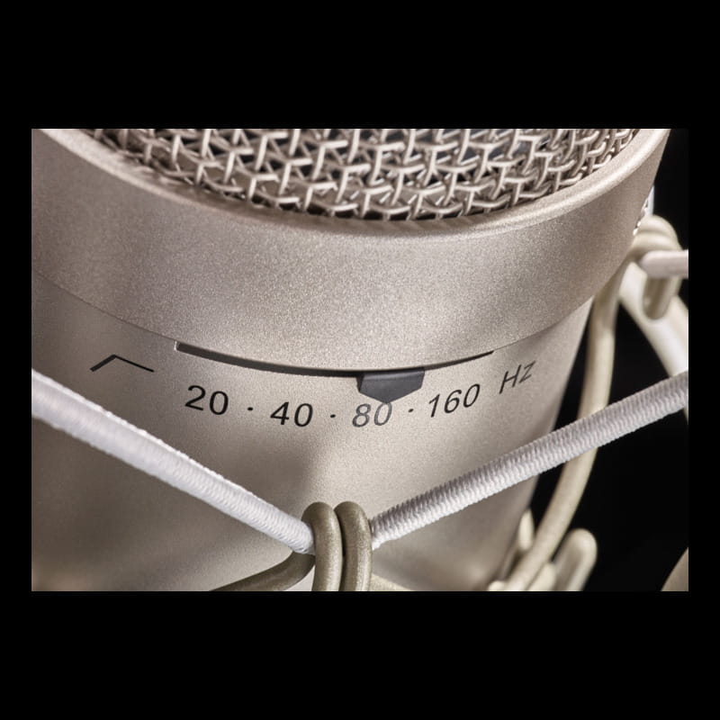 M149 Tube 真空管コンデンサーマイク