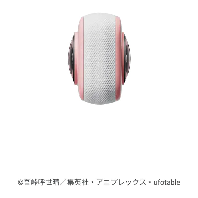 Insta360 X3 鬼滅の刃 竈門禰豆子 特別版 CINSAAQL