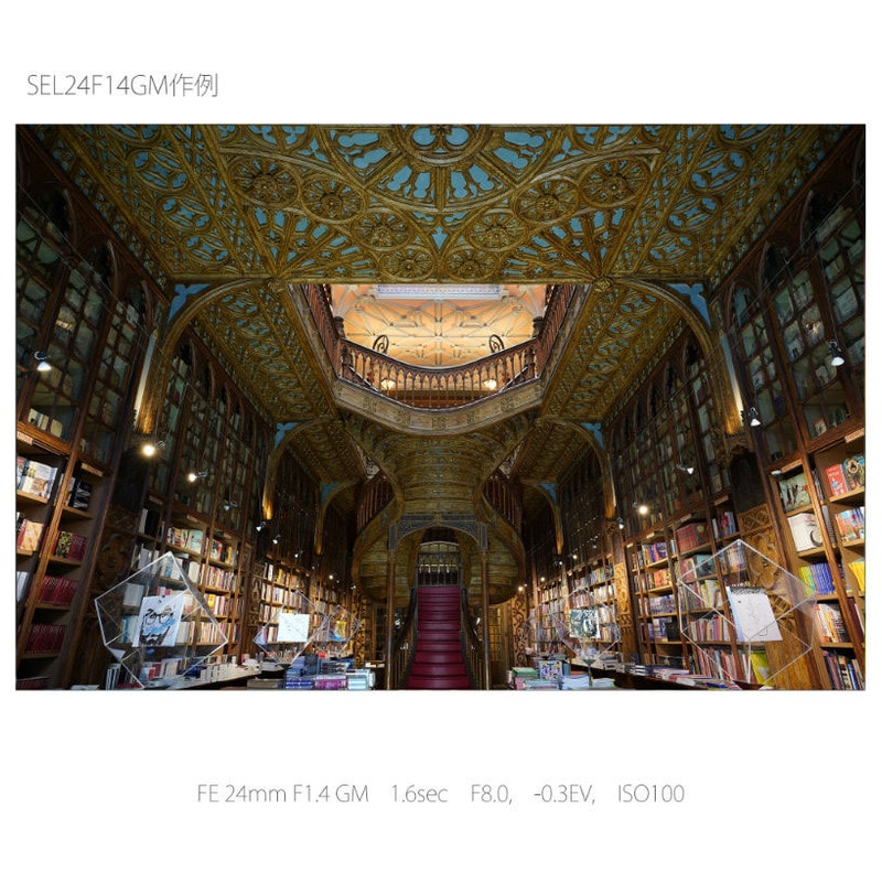 FE 24mm F1.4 GM SEL24F14GM