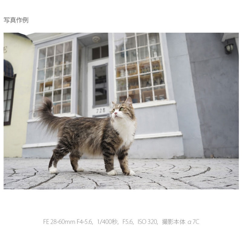 FE 28-60mm F4-5.6 SEL2860