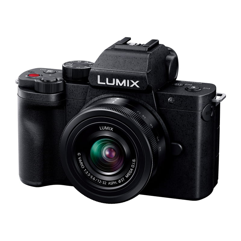 LUMIX G100D Wキット 標準ズームレンズ＋望遠ズームレンズ DC-G100DW