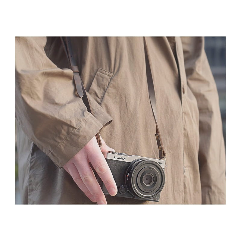 LUMIX S9 ボディ ダークシルバー DC-S9-S