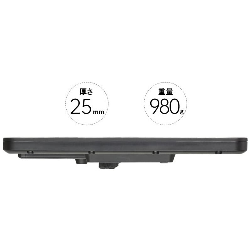 LEDライト P30BI J111