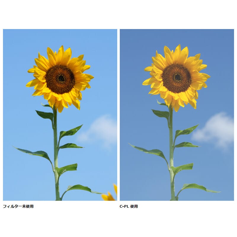 PRO1D C-PL(W) N 43mm