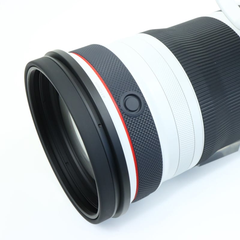 RF100-300mm F2.8 L IS USM