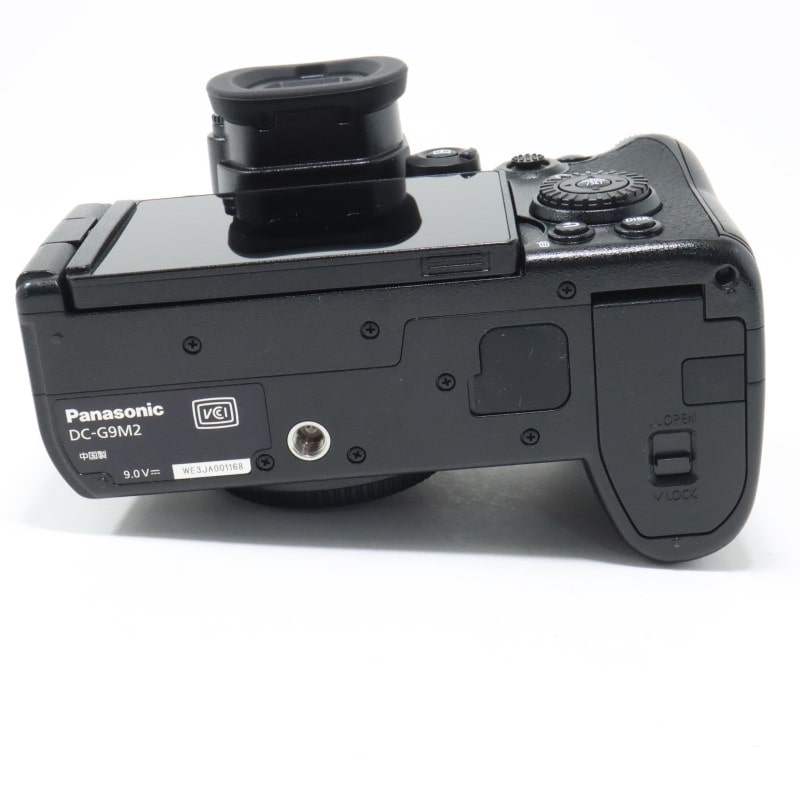 LUMIX G9 PROII ボディ DC-G9M2