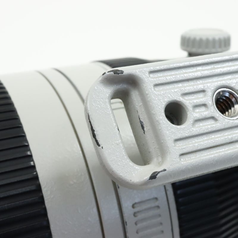 EF100-400mm F4.5-5.6L IS II USM