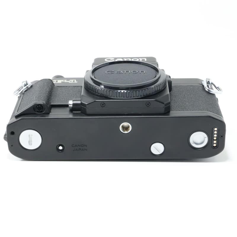 New F-1 アイレベル