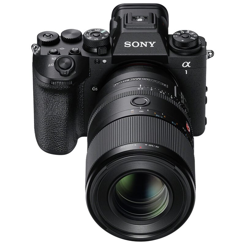 FE 100mm F2.8 Macro GM OSS SEL100M28GM（2025年11月21日発売予定）