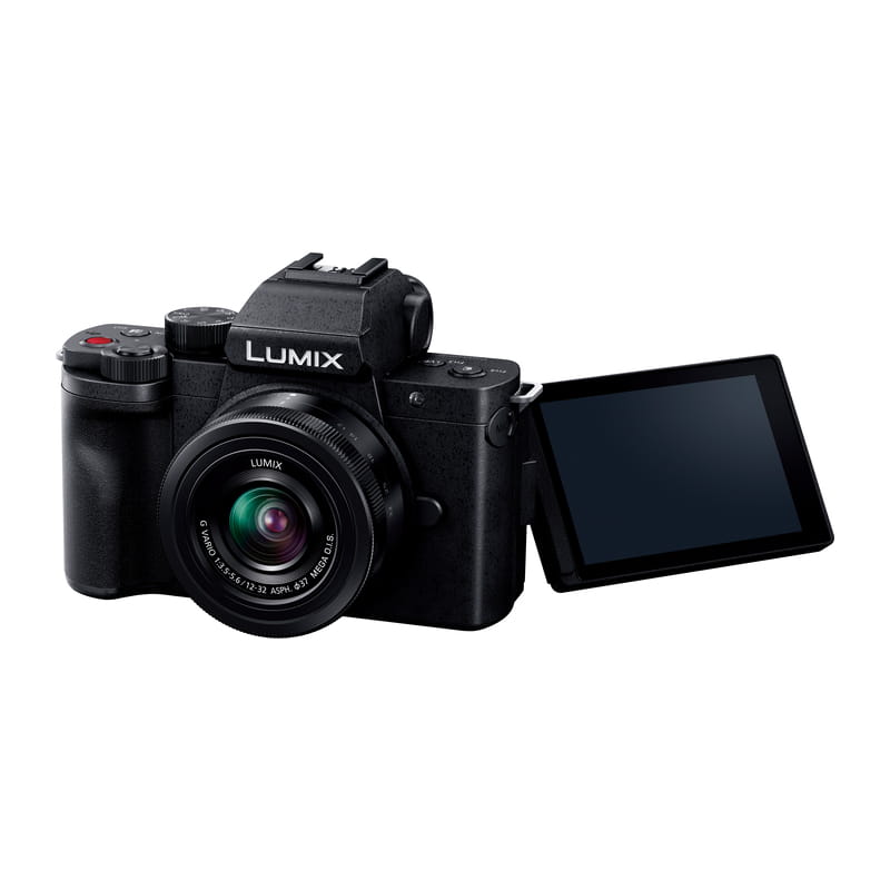 LUMIX G100D Wキット 標準ズームレンズ＋望遠ズームレンズ DC-G100DW