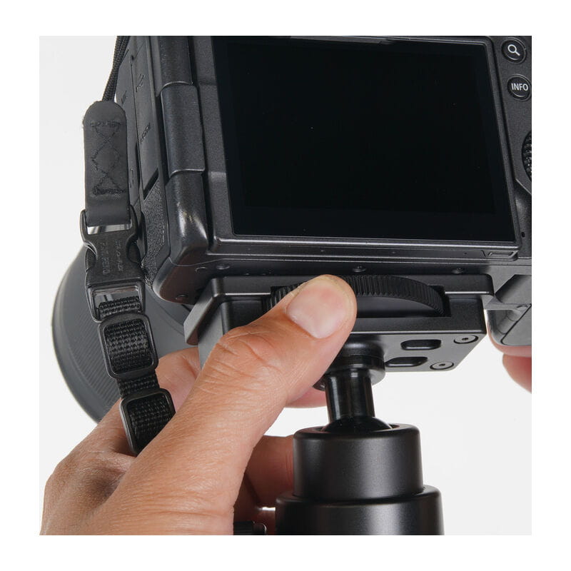 SBH-255 DM
