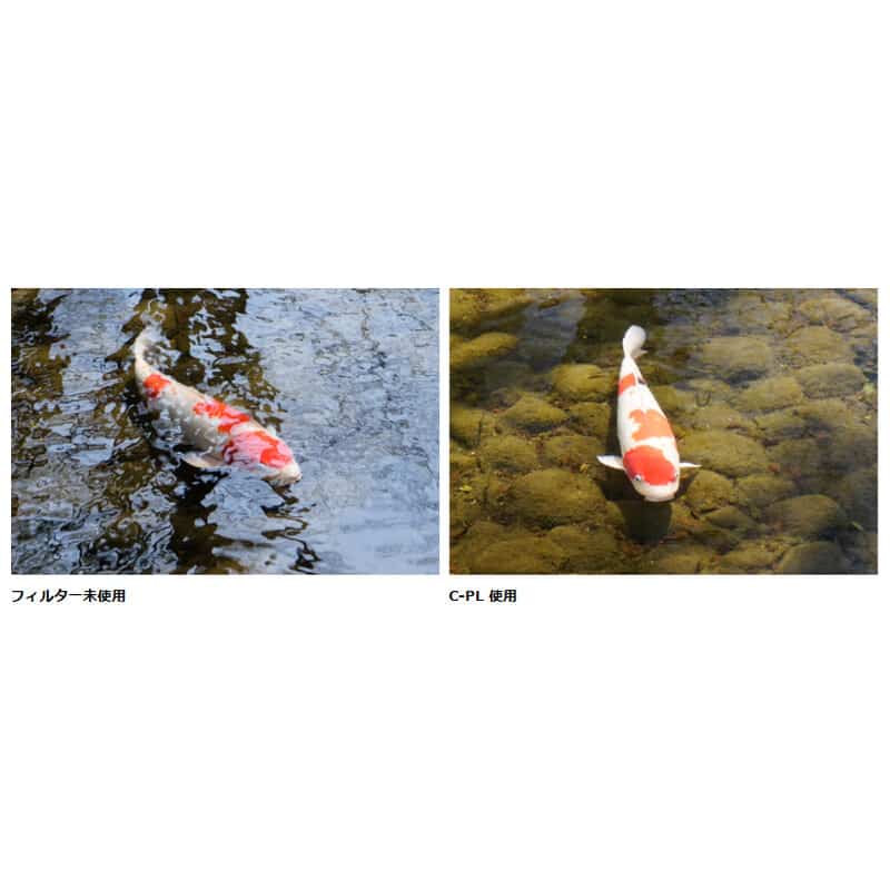 PRO1D C-PL(W) N 77mm