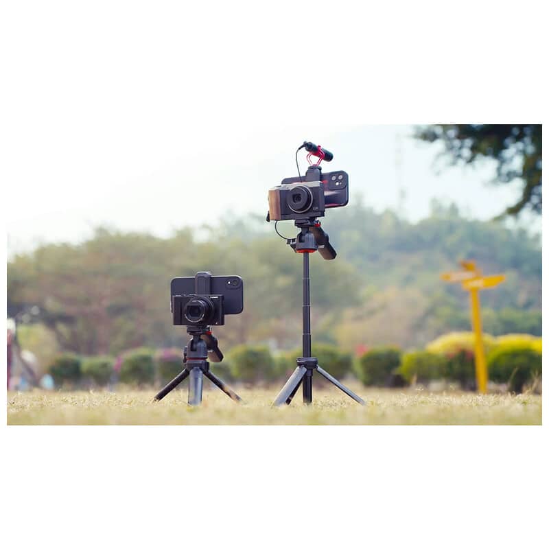 Video Basic 2