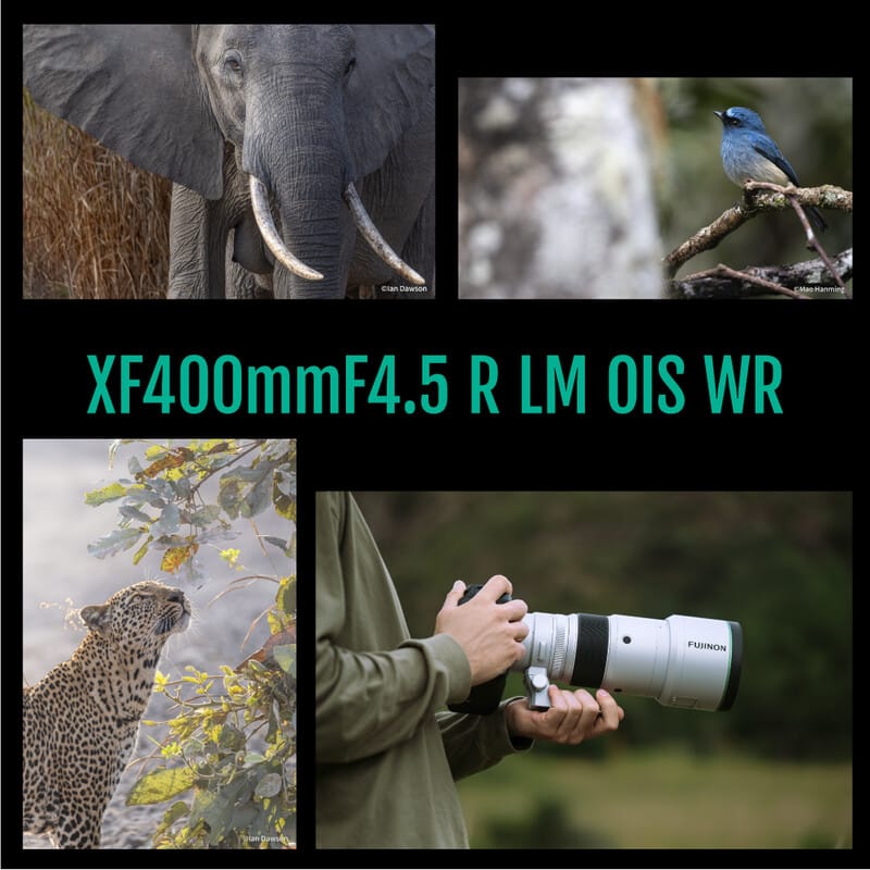 富士フイルム フジノンレンズ XF400mmF4.5 R LM OIS WR 新品｜フジヤカメラ