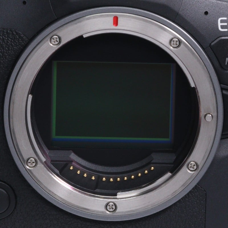 EOS R6 Mark II ボディー