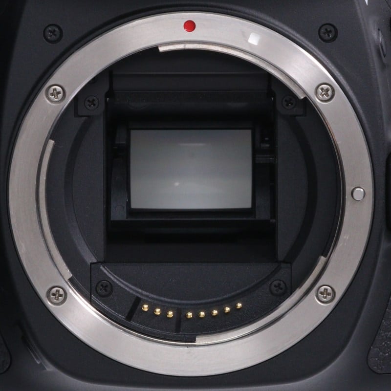 EOS 80D ボディー