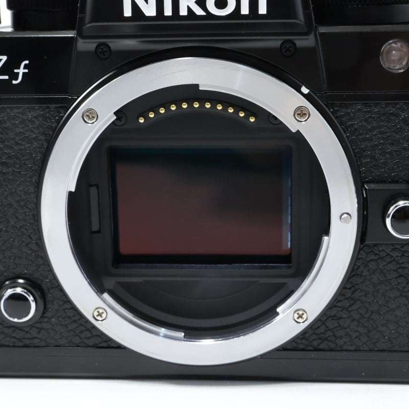 Zf ボディ(ブラック)