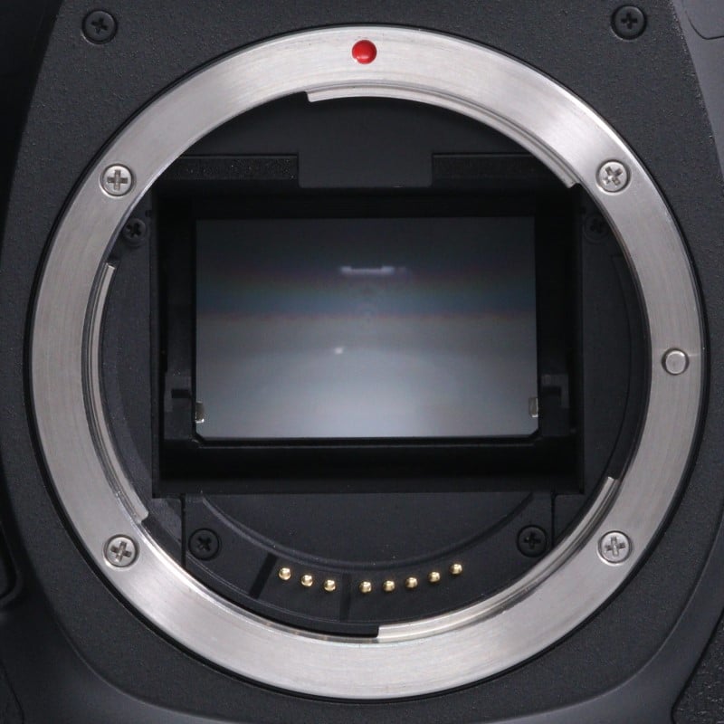 EOS 5Ds R ボディー
