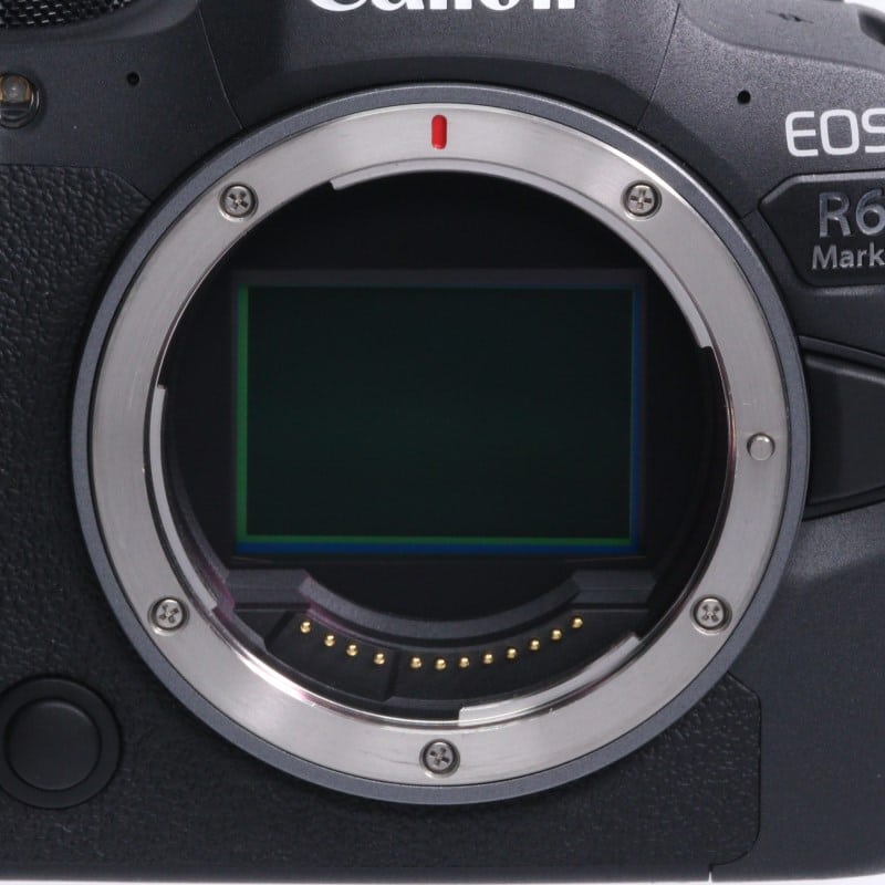 EOS R6 Mark II ボディー