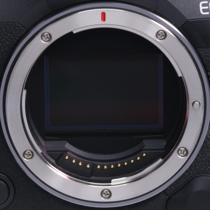 EOS R5 Mark II ボディー