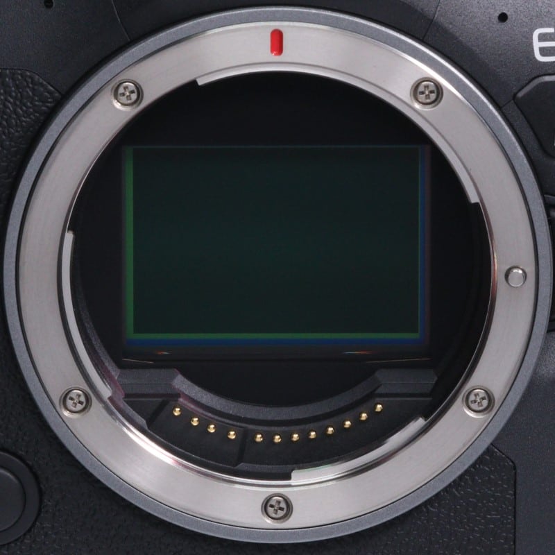 EOS R6 Mark II ボディー