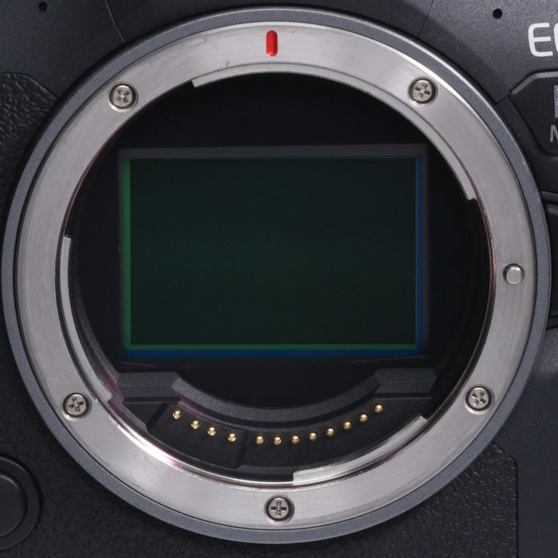 EOS R6 Mark II ボディー