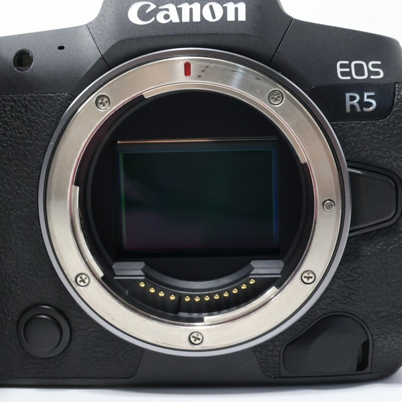 EOS R5 ボディー