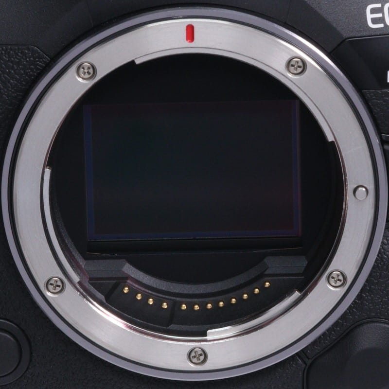 EOS R5 Mark II ボディー