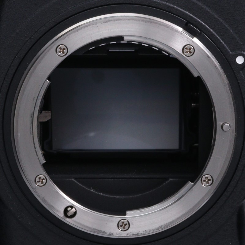 D5 CF-Type ボディ