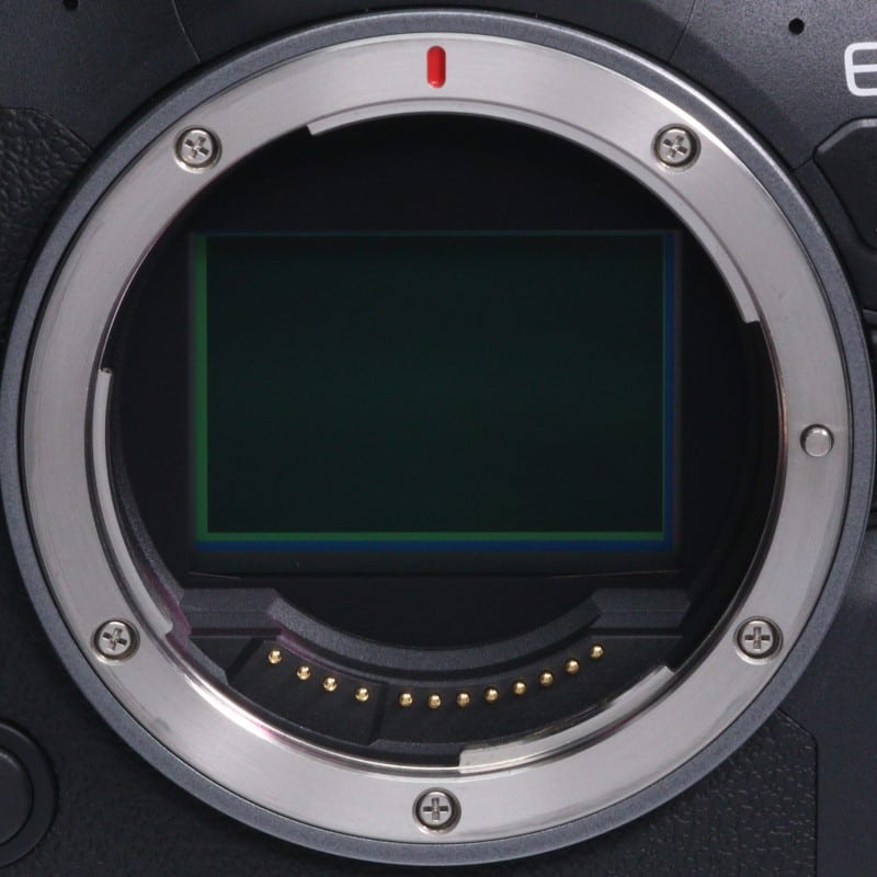 EOS R6 Mark II ボディー