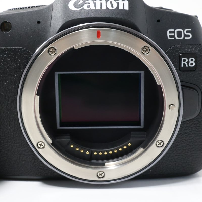 EOS R8 ボディー