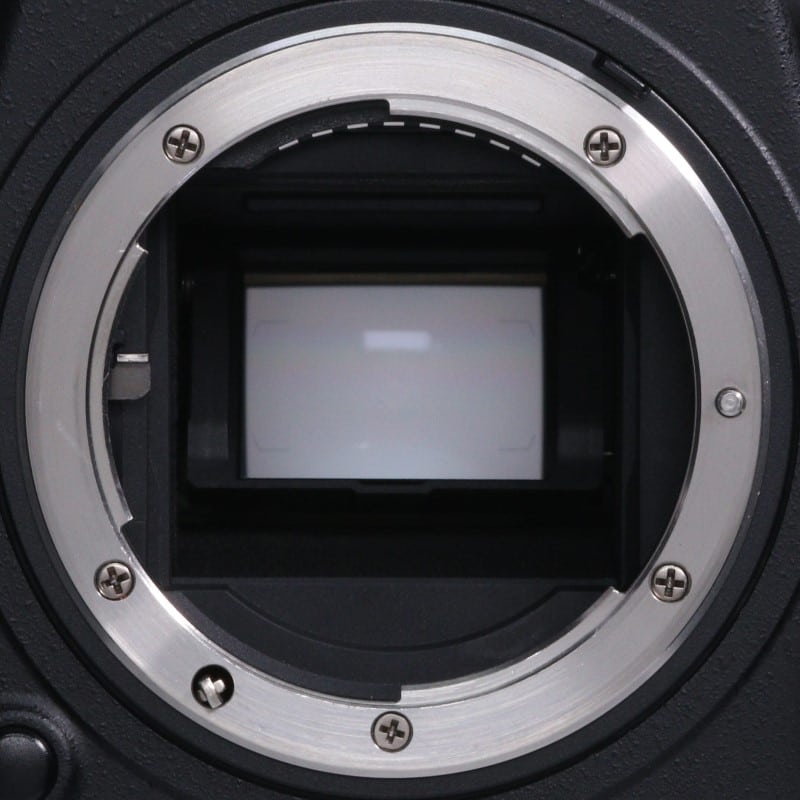 D500 ボディ