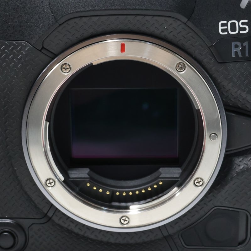 EOS R1 ボディー