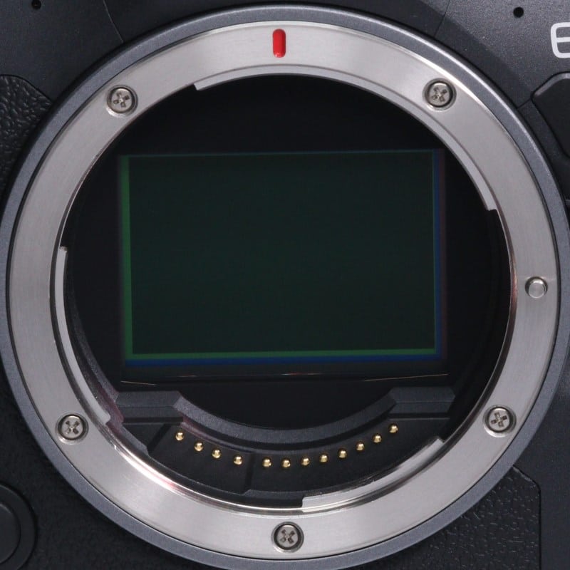 EOS R6 Mark II ボディー